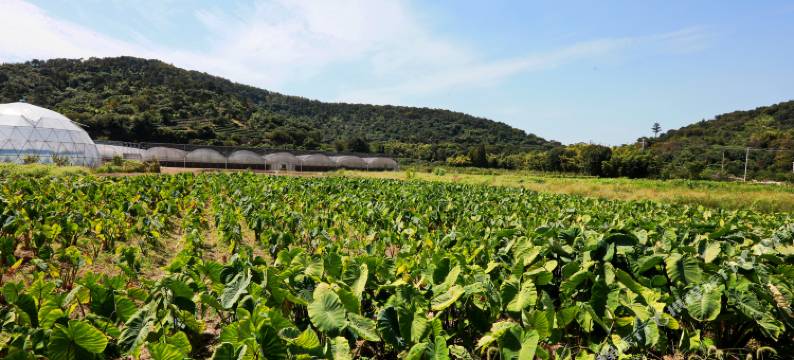 无锡龙渚客栈图片