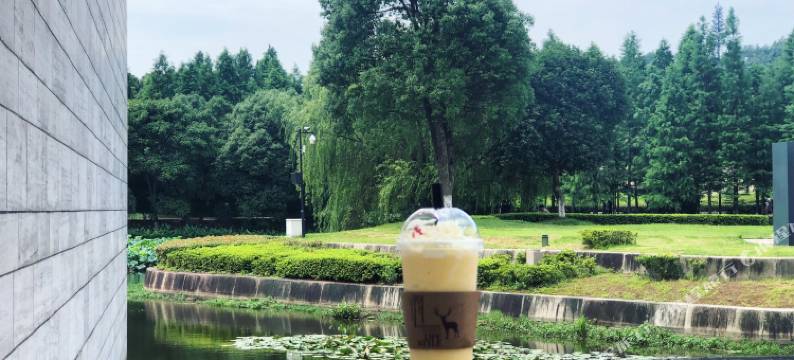 杭州春漫里公寓酒店图片