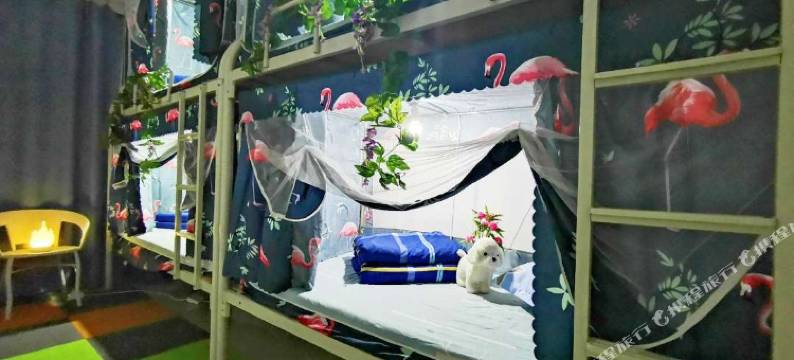 深圳K·8青年旅舍图片