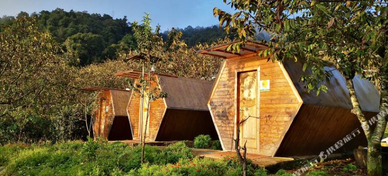 蜂巢驿站(南涧樱花谷店)图片