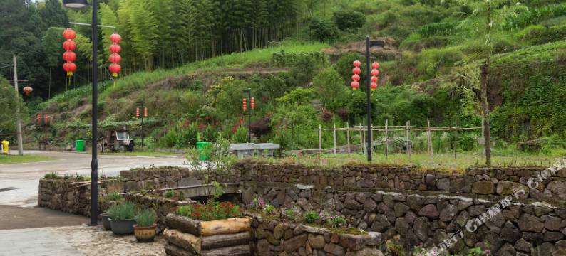 仙居锦上人家民宿图片