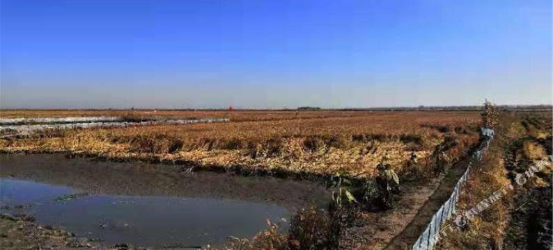 盘锦应洲农家院图片