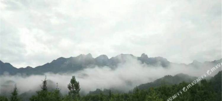 木札岭银杏山庄图片