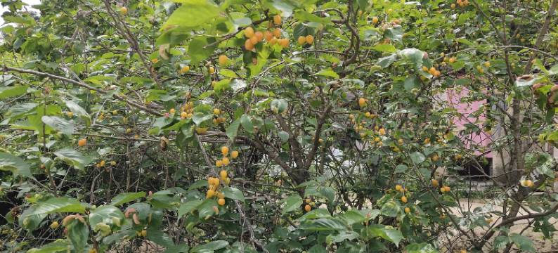 澜溪北岸公寓(步文大道分店)图片