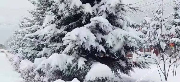 雪谷·老乡Family漫雪物语秘境美宿(雪谷风景区店)图片