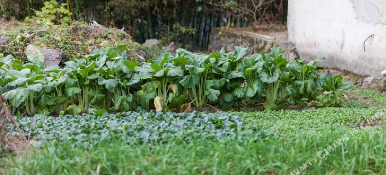 湖州安吉悦客独栋别墅紧邻凯蒂猫乐园图片
