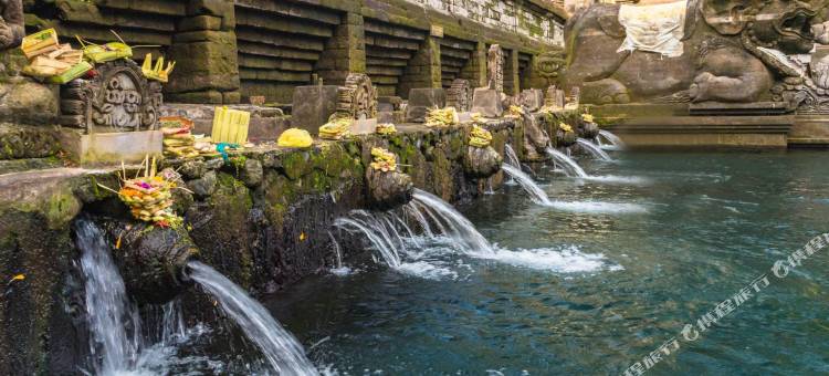 晟诗度假酒店及水疗与会议中心，世尊系列(Sens Hotel  Spa + Conference Ubud Town Centre)图片