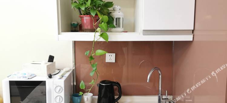 巷悦华府公寓(沈阳北站金融中心地铁站店)图片