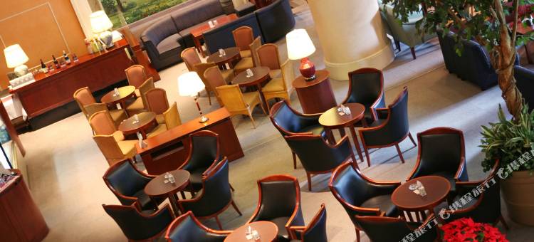 知立皇冠饭店(Hotel Crown Palais Chiryu)图片