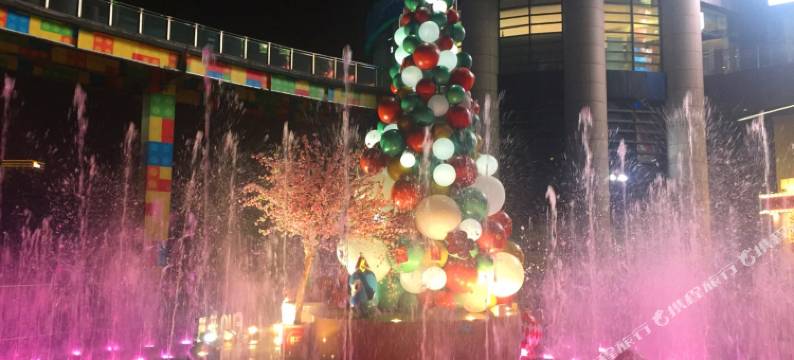 重庆舒心公寓(袁家岗地铁站重医附一院店)图片