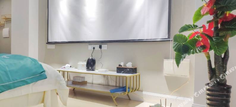 忆途南宁臻品民宿(东葛路分店)图片