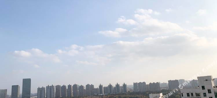 上海RichardLu公寓(民生路分店)图片