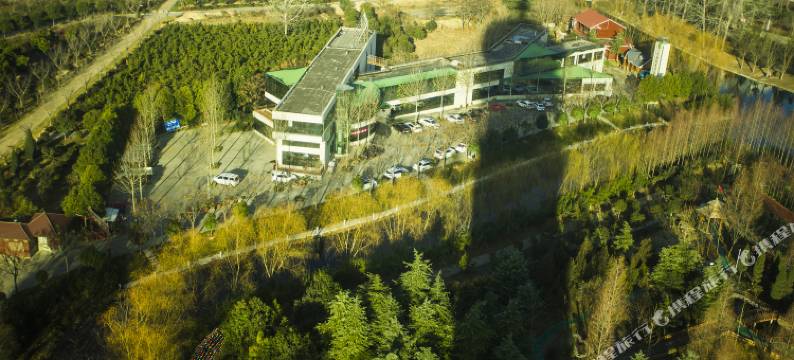 柘城千树园商务酒店图片