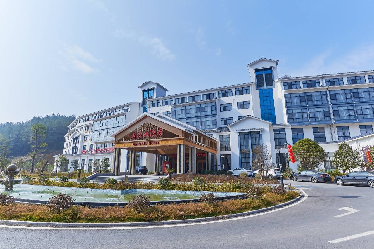 清流大酒店(清流站店)