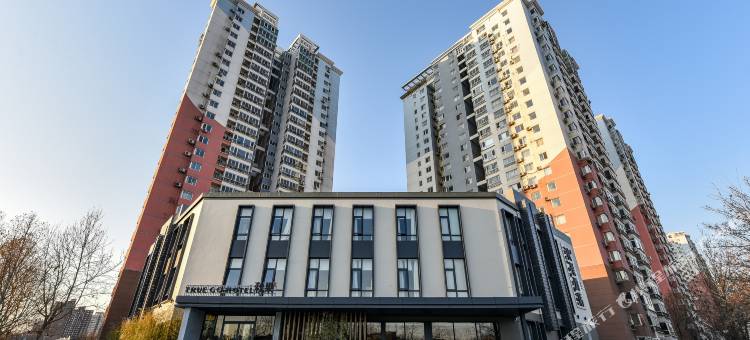 秋果酒店(北京望京科技园店)图片