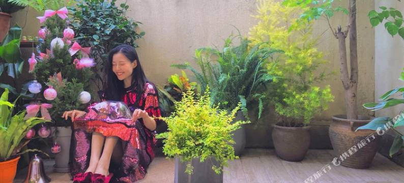 上海小花园 Le Petit Jardin特色民宿图片