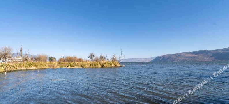 大理榆湾客栈图片