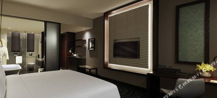 新德里Aerocity国际机场铂尔曼(Pullman New Delhi Aerocity- International Airport)图片