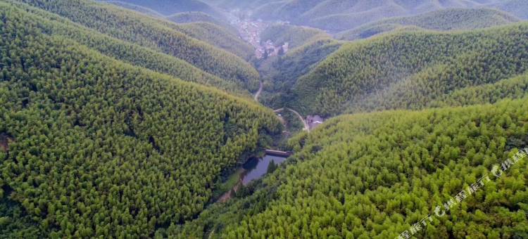 莫干山唯乐山居图片