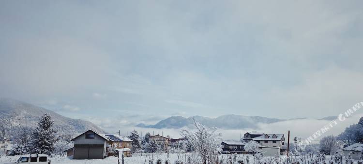 杏子酒店(Apricot Pension)图片