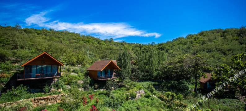 灵泉妙境民宿(古灵山店)图片