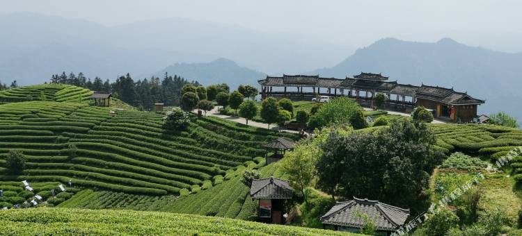 维也纳酒店(三江鼓楼鸟巢集散中心店)图片