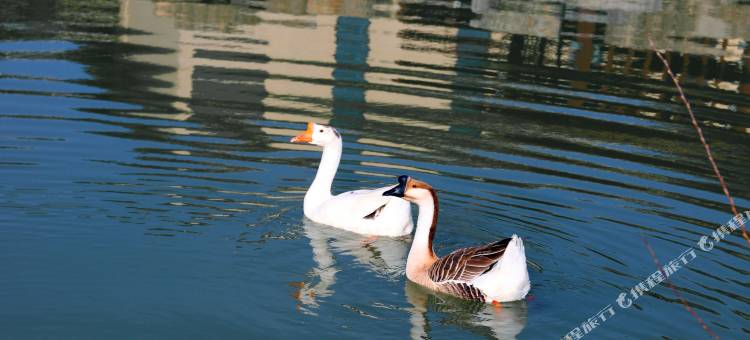 徐州宝信君澜度假酒店图片