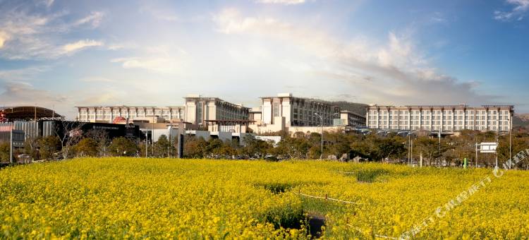 济州神话世界度假酒店 – 蓝鼎(Landing Jeju Shinhwa World Hotels & Resorts)图片