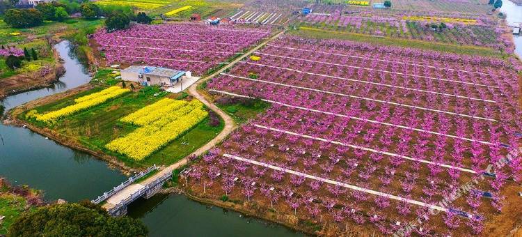 凯樾酒店(常州雪堰嬉戏谷店)图片