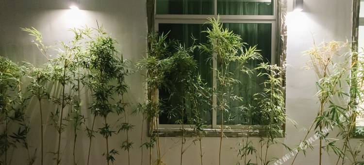 潮州伍米果民宿图片