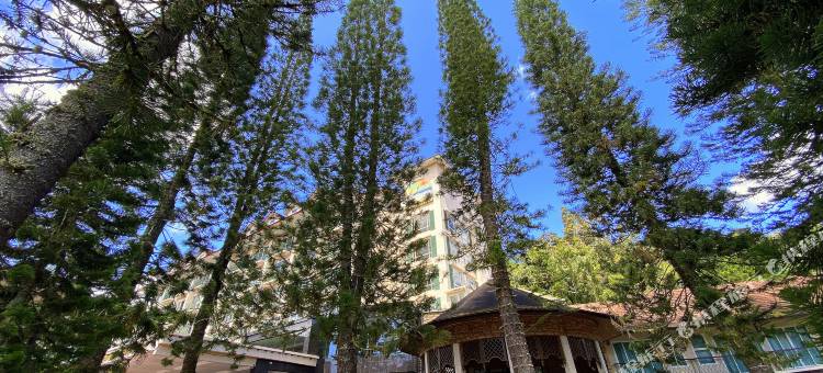 金马仑高原世纪松园度假酒店(Century Pines Resort Cameron Highlands)图片