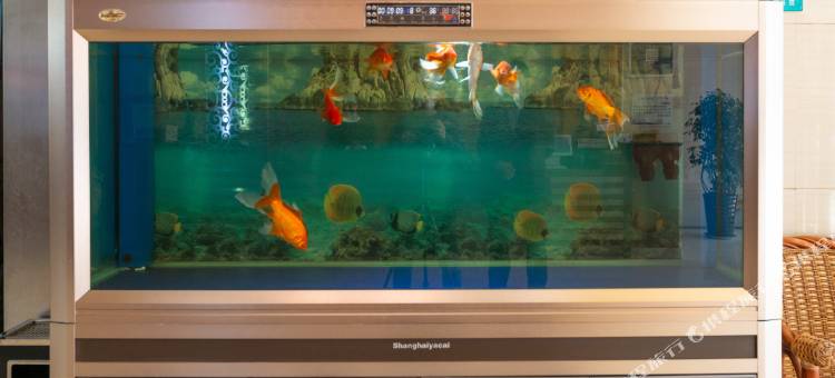 天地仁和酒店(万达广场奥体中路店)图片