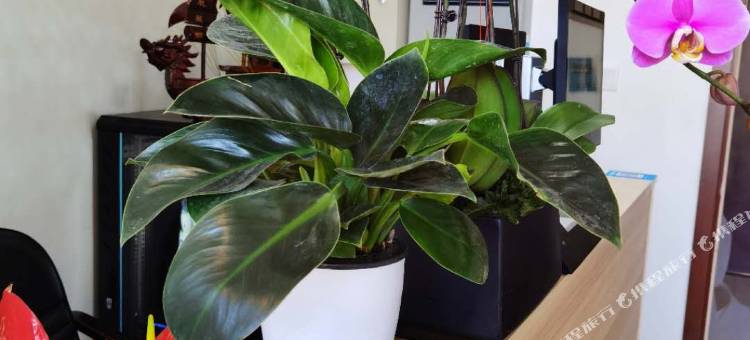 上海悦朋宾馆图片