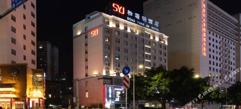 南宁松源锦酒店(金湖广场地铁站店)图片