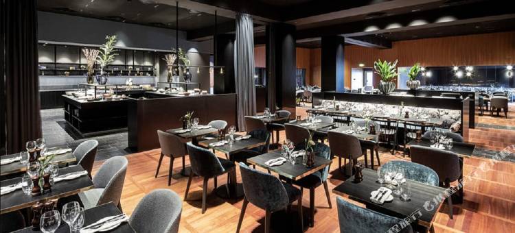 哥本哈根机场克拉里昂酒店(Clarion Hotel Copenhagen Airport)图片