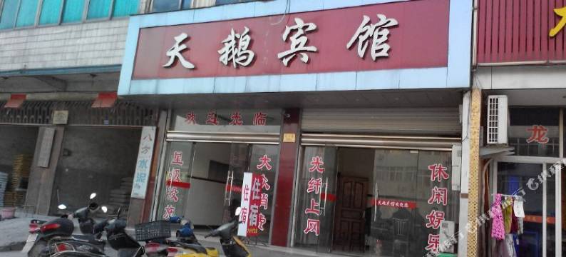 浦江天鹅宾馆图片