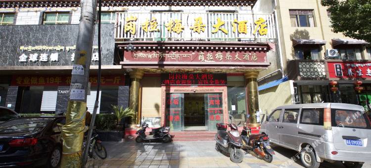 拉萨岗拉梅朵大酒店图片