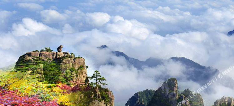 黄山狮林大酒店图片