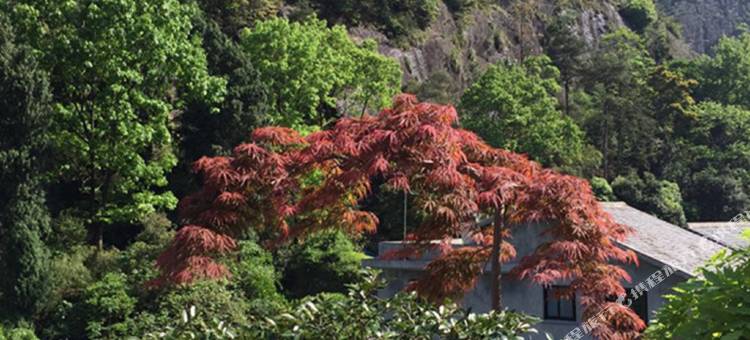 雁荡山云水间民宿图片