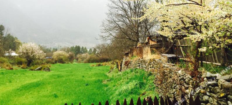 波密解忧别院图片