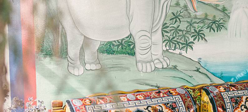 拉萨西城青年客栈图片