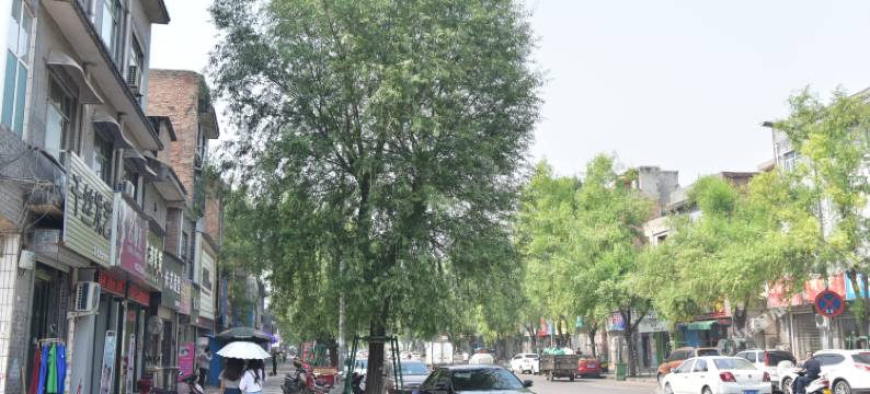 洛阳温馨小家住宿图片