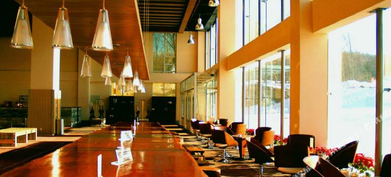 雅旺斯酒店(亚布力滑雪旅游度假区店)图片