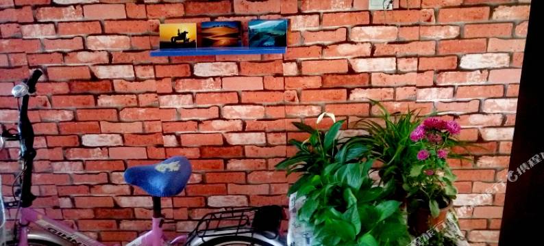 中卫风沙渡青年旅舍图片