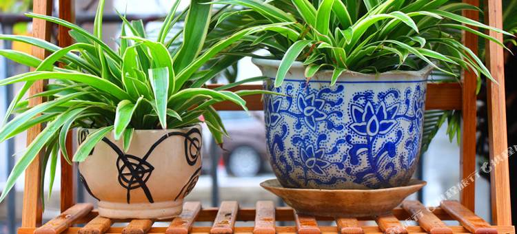 上海520主题酒店(安亭地铁站店)图片