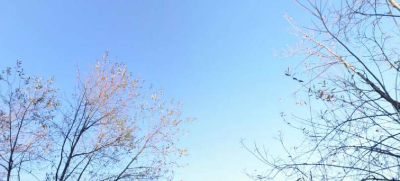 丽江花弥生客栈(忠义市场店)图片