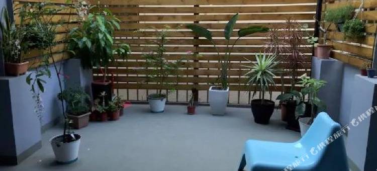 台南莱加民宿图片