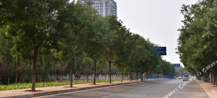 洛阳天天主题酒店(宝龙广场店)图片