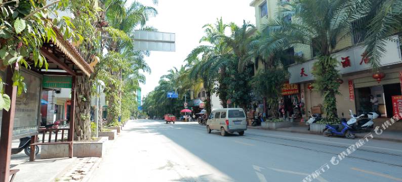 勐腊天奕大酒店图片