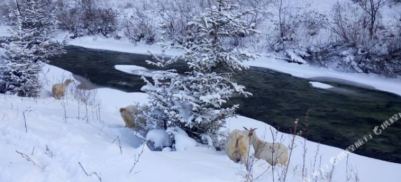 海林大潘客栈图片